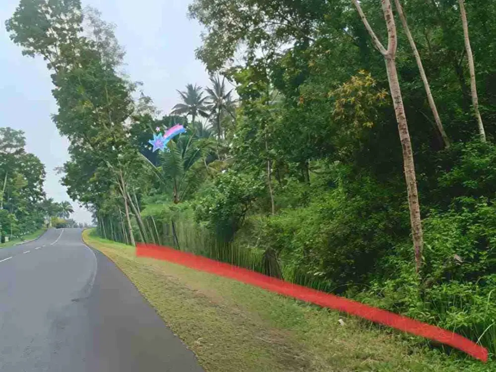 MURAH! BU ! Tanah Bagus Area Sentolo Kulonprogo Yogyakarta