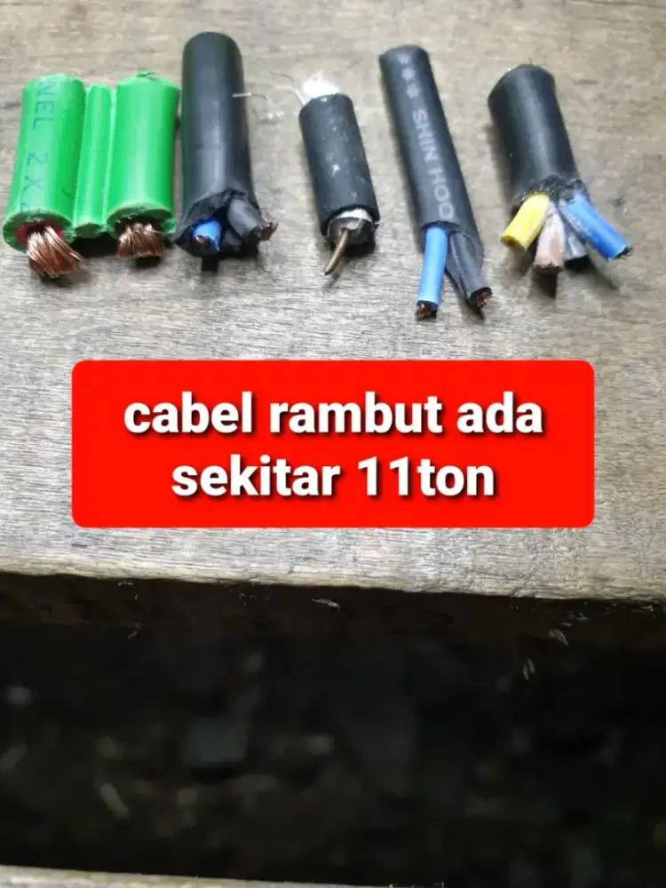 Borong isi gudang