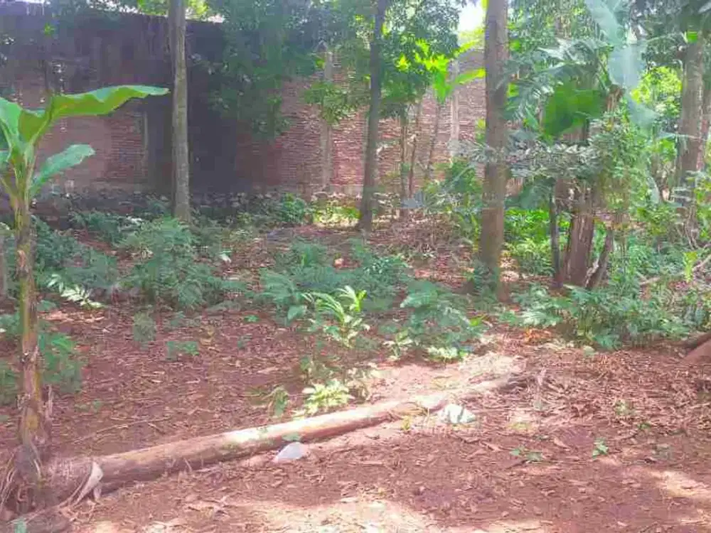 TANAH BISA DIBANGUN KOS2 AN DEKAT UNNES GUNUNG PATI