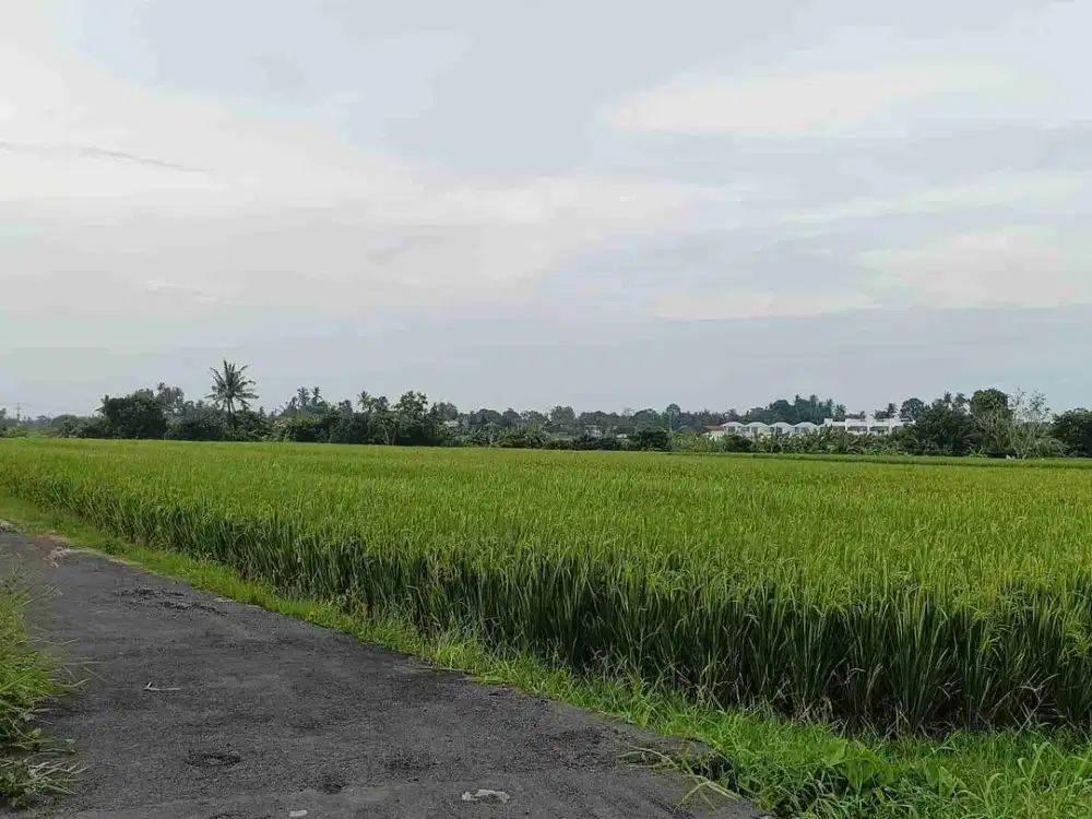 DIJUAL KAVLING SIAP BANGUN DEKAT PANTAI KEDUNGU