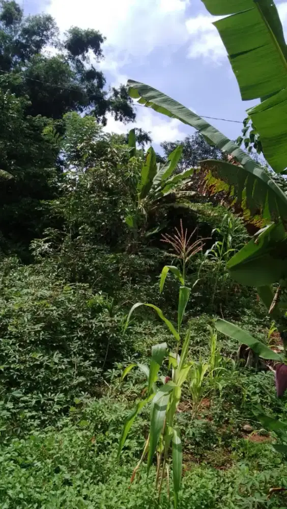 Dijual tanah lokasi strategis