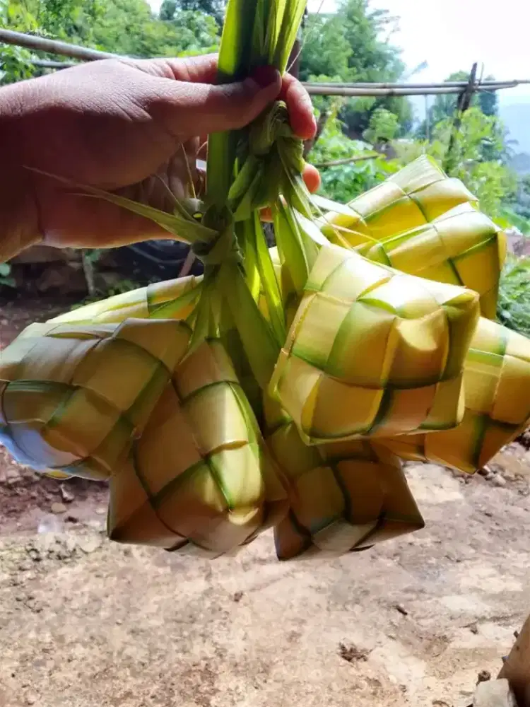Kulit ketupat kelapa