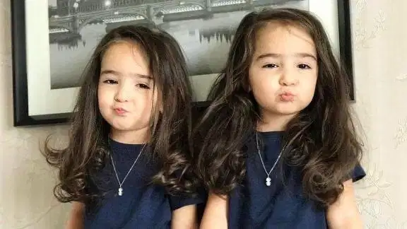 Butuh penjaga anak kembar