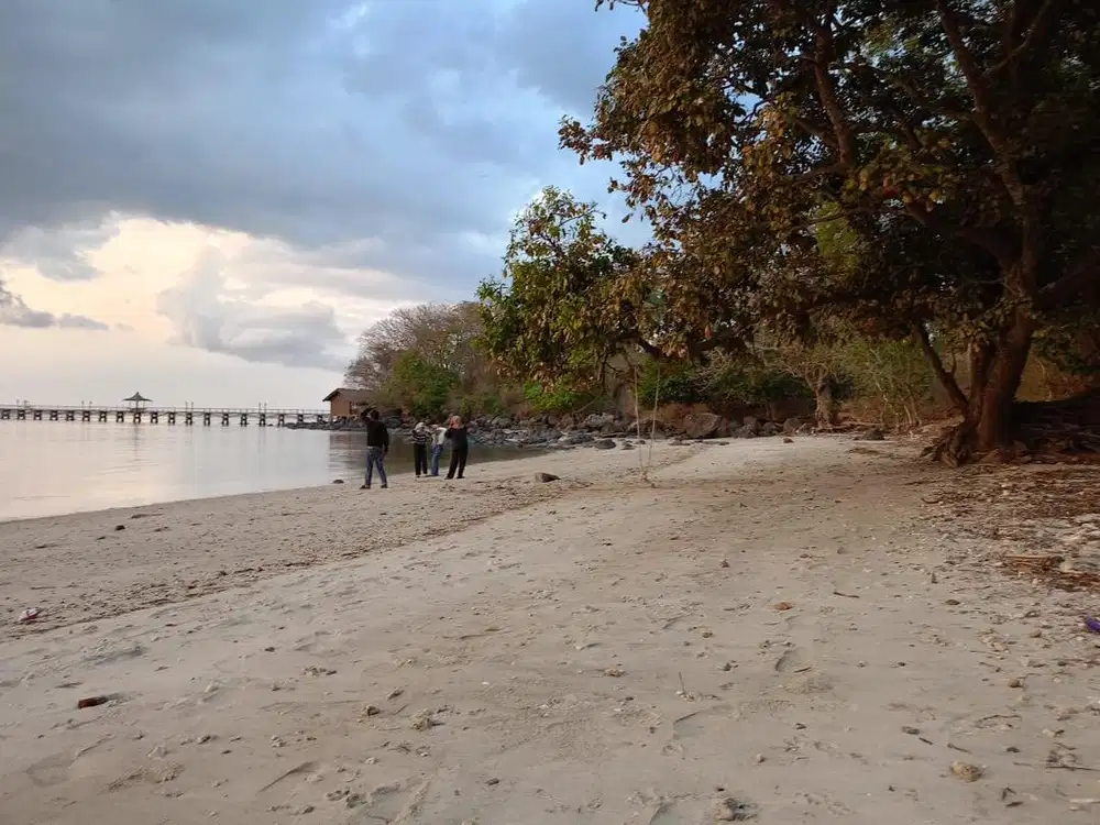 Dijual tanah los pantai