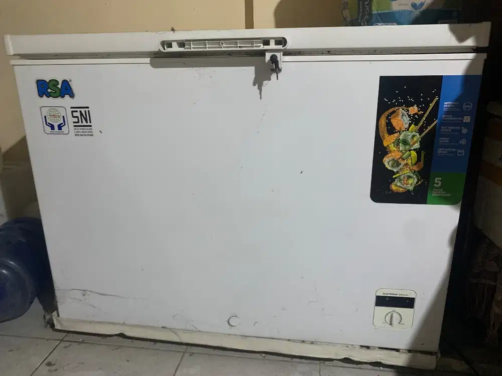 Freezer RSA 300L