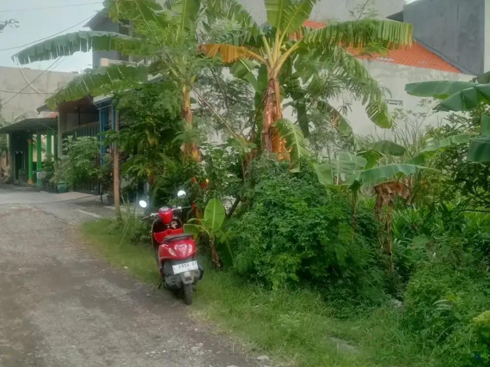 Langkah Dijual Tanah Siap Bangunan Lokasi Perumahan Putri Juanda Mbetro Sedati Sidoarjo