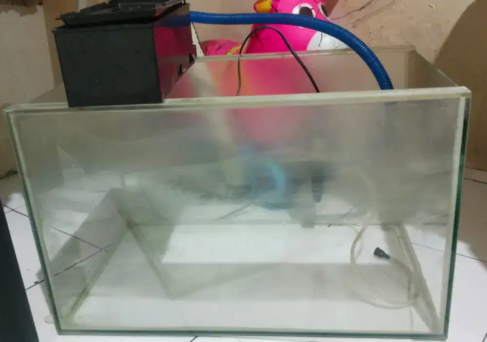 Aquarium ikan free filter