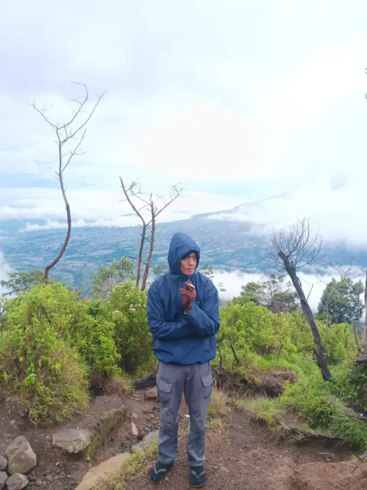 Saya sedang mencari pekerjaan driver pribadi&kantor