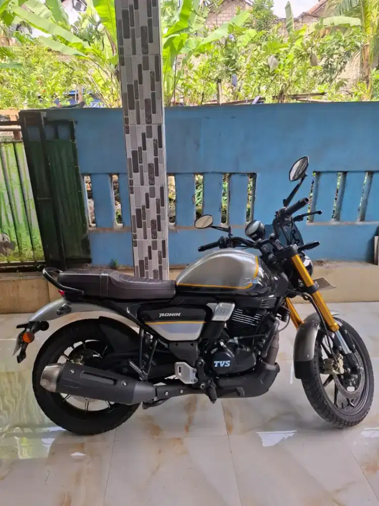 Motor TVS Ronin 225 TD