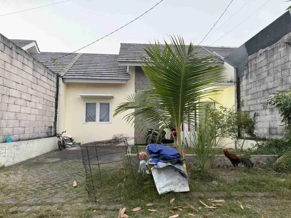 Rumah Lokasi Perumahan Royal Park Juanda Kwangsan Sedati Sidoarjo