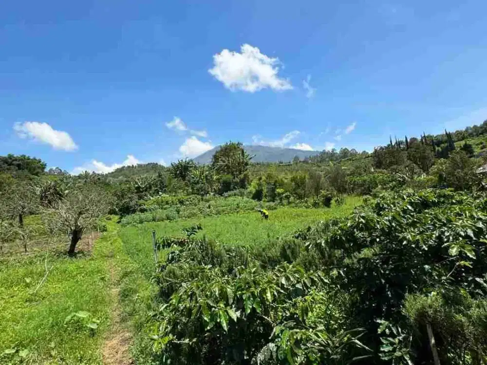 Tanah Tegalan kota Batu Harga Di bawah pasar.