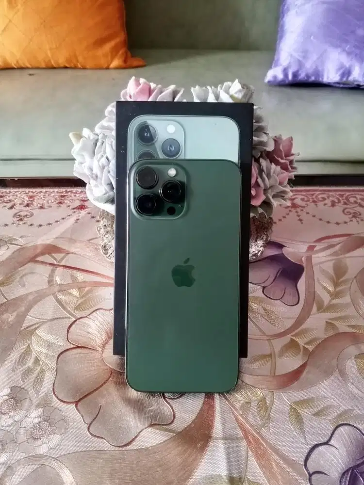 DIJUAL iPhone 13 Pro Max 256 GB