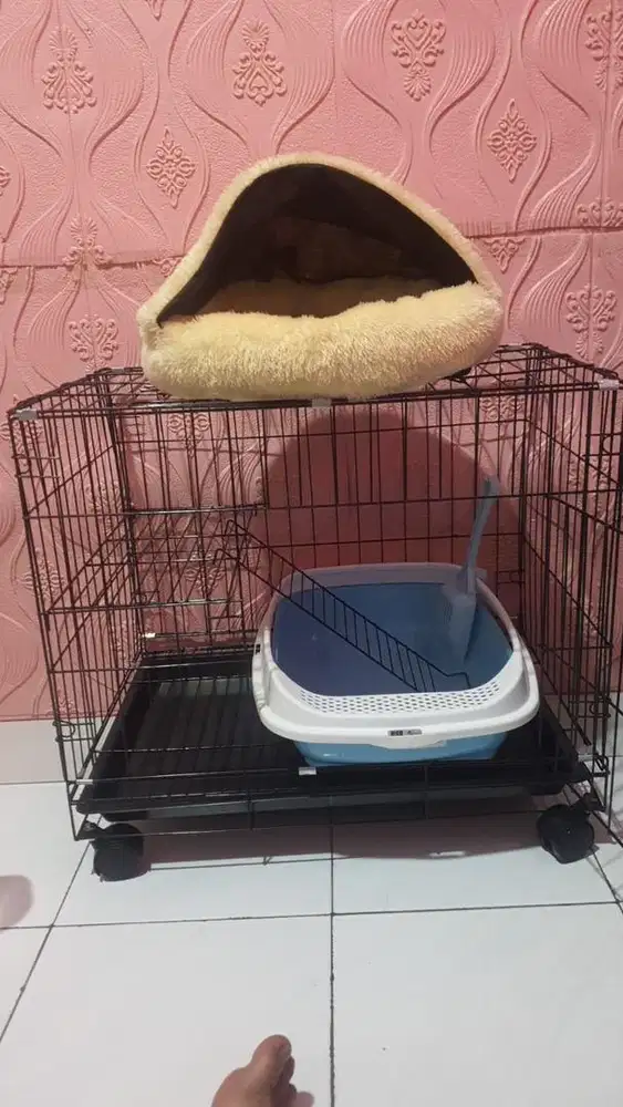 Di jual Kandang kucing kondisi bekas