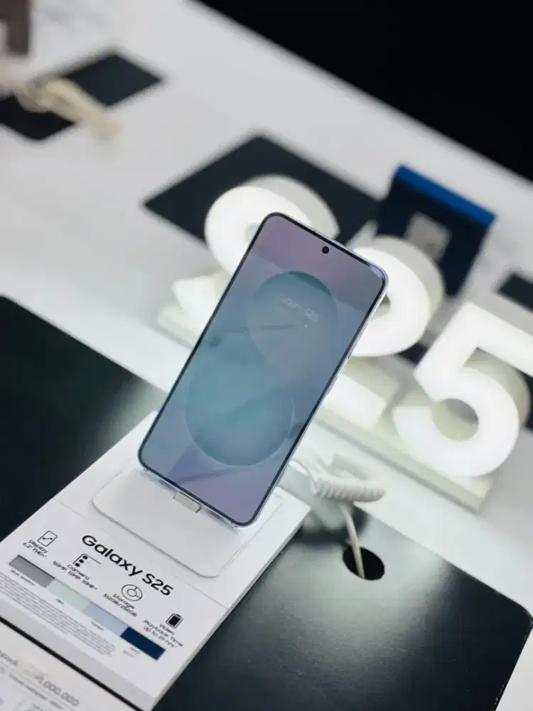 Samsung Galaxy S25 256GB