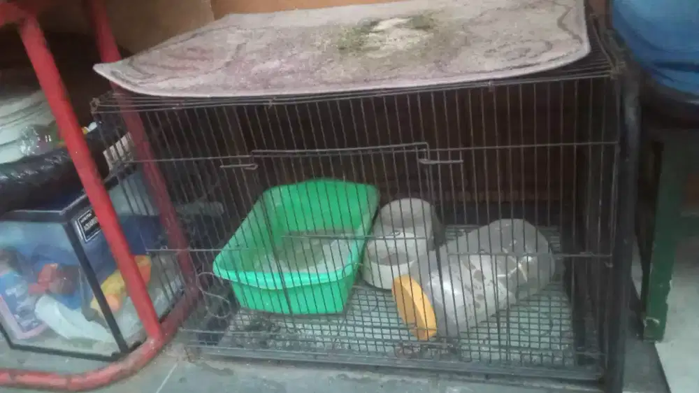 Dijual Kandang Kucing