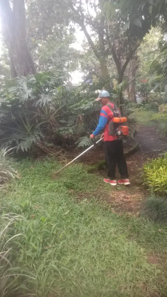 Jasa potong rumput/ babad rumput
