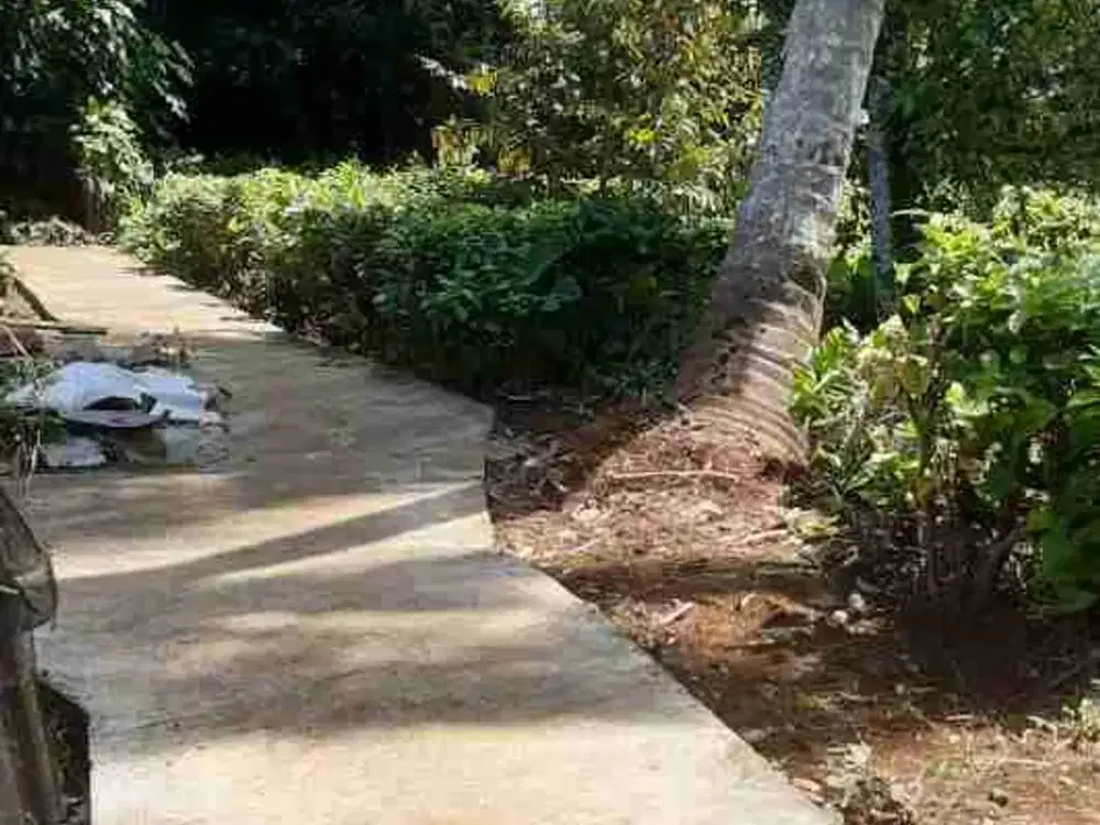 tanah darat pekarangan