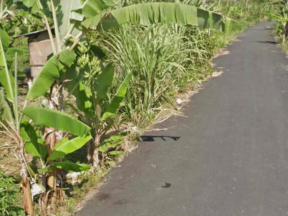 Di jual tanah kavling mulai 1 are
Lokasi di padang galak sanur bali