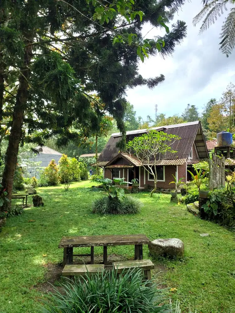 Villa Sejuk dengan Halaman Luas di Kaliurang