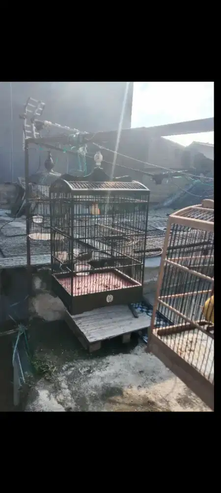 Kandang ebod nomor 2