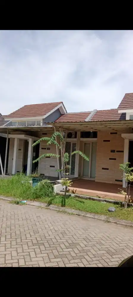 Disewakan rumah citra harmoni