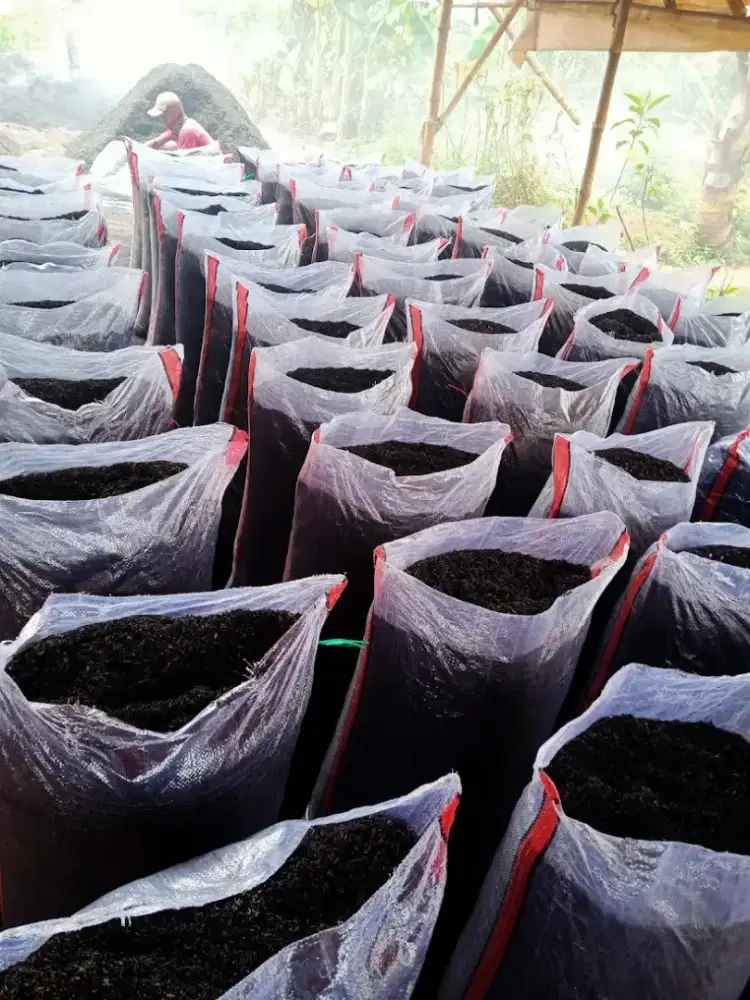 Media Tanam SEKAM BAKAR. Kemasan per Karung