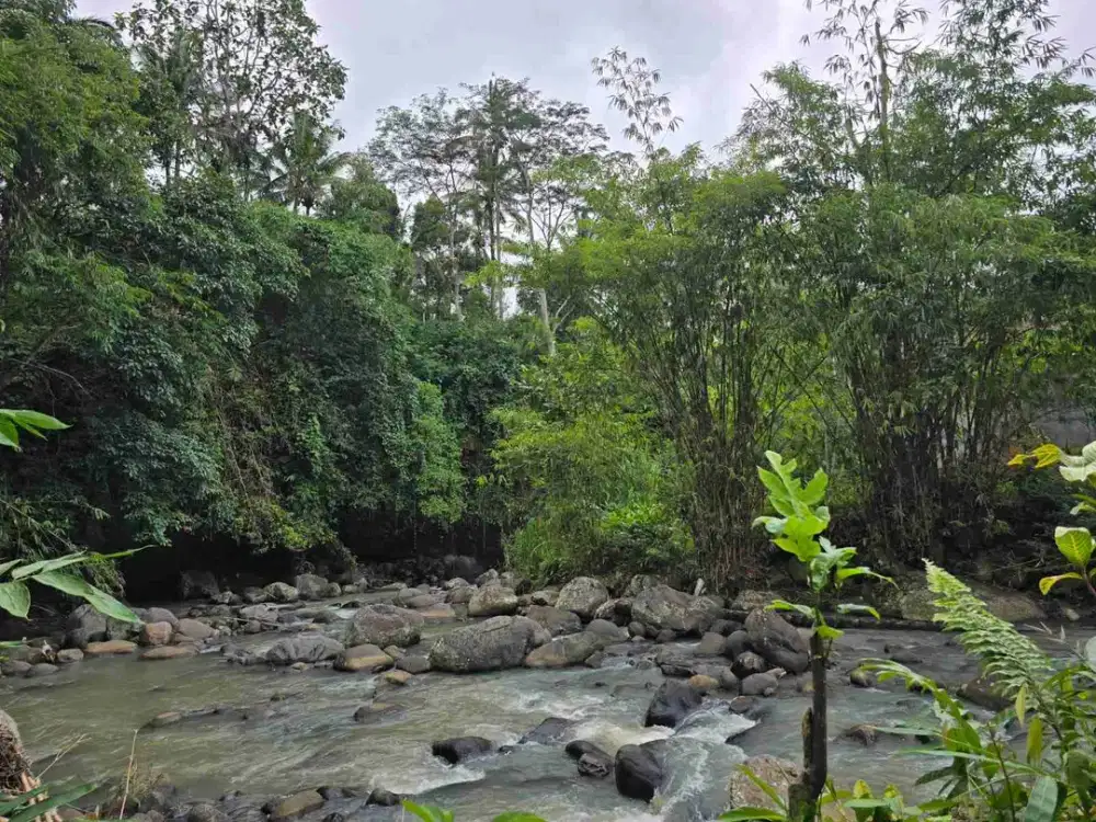 tanah los sungai berbatu di tabanan bali