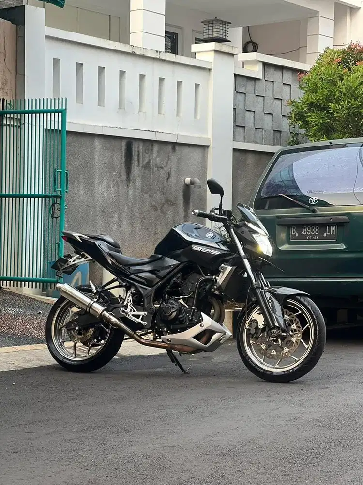 Yamaha MT25 2017 Black 321Cc