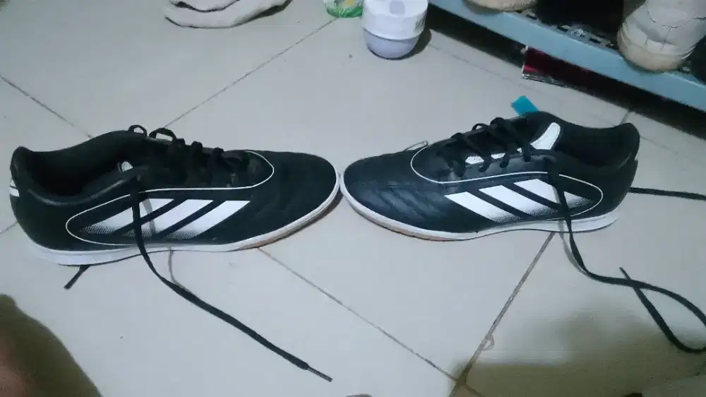 Sepatu futsal Goletto UK 42