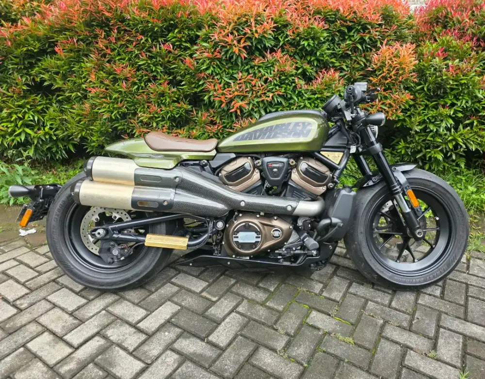2022 Harley Davidson Sportster S
(ABS)