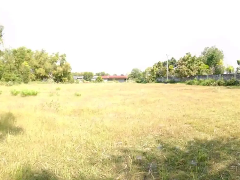 jalan raya propinsi pamekasan sumenep