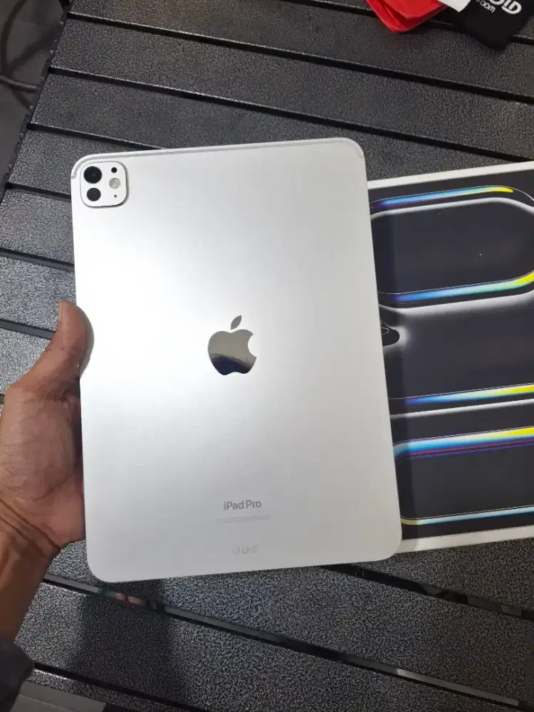 iPad pro M4 11 inch 256gb WiFi only silver titanium