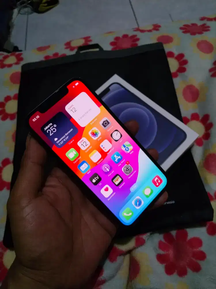 Iphone 12 128 gb resmi Ibox