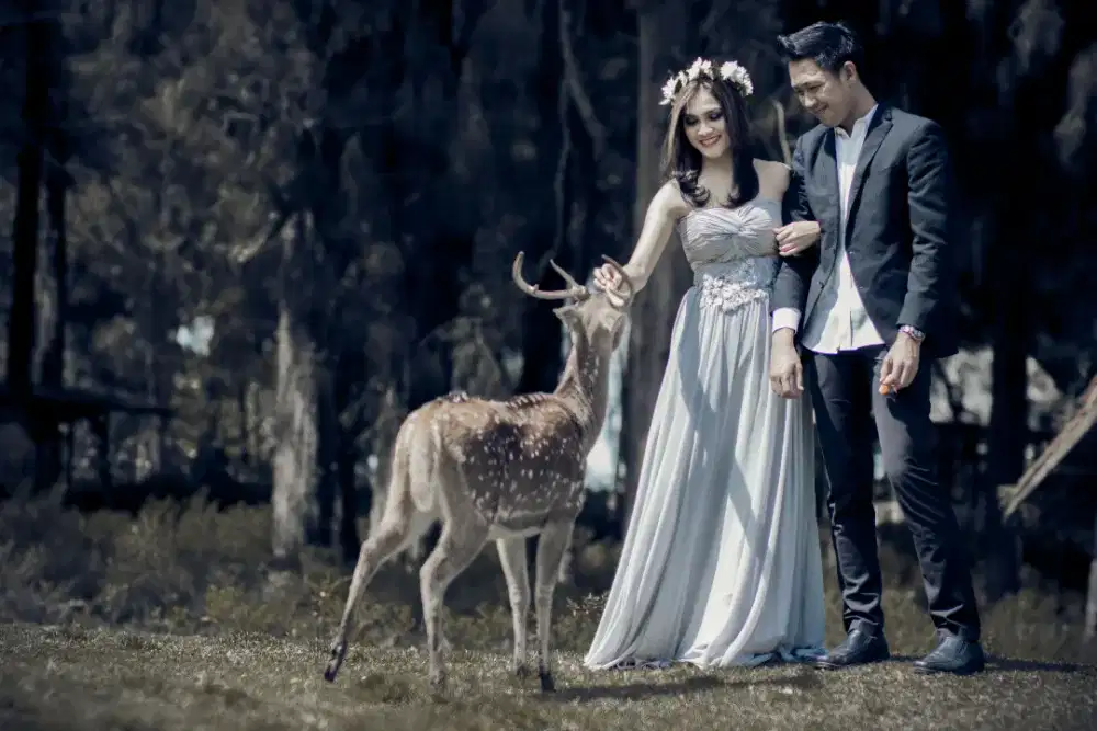 Jasa foto bandung - murah dan berkualitas