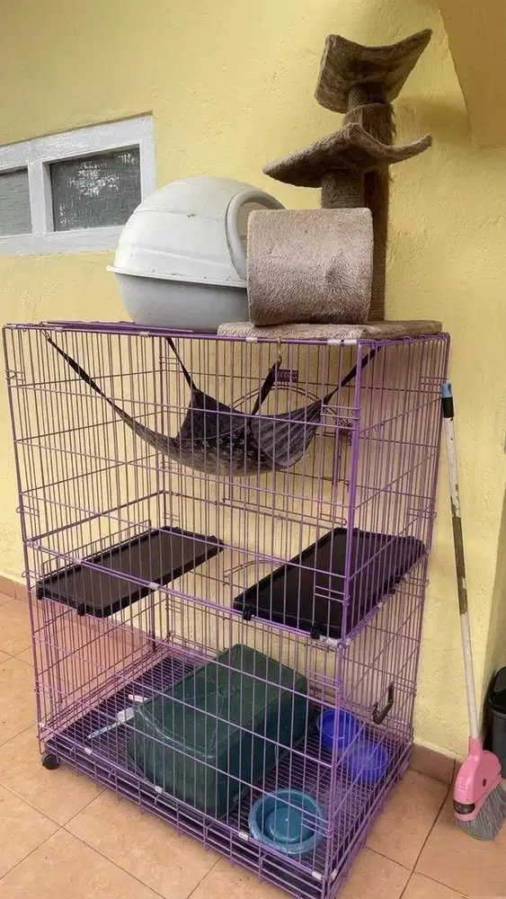 Kandang Kucing Tingkat Besar