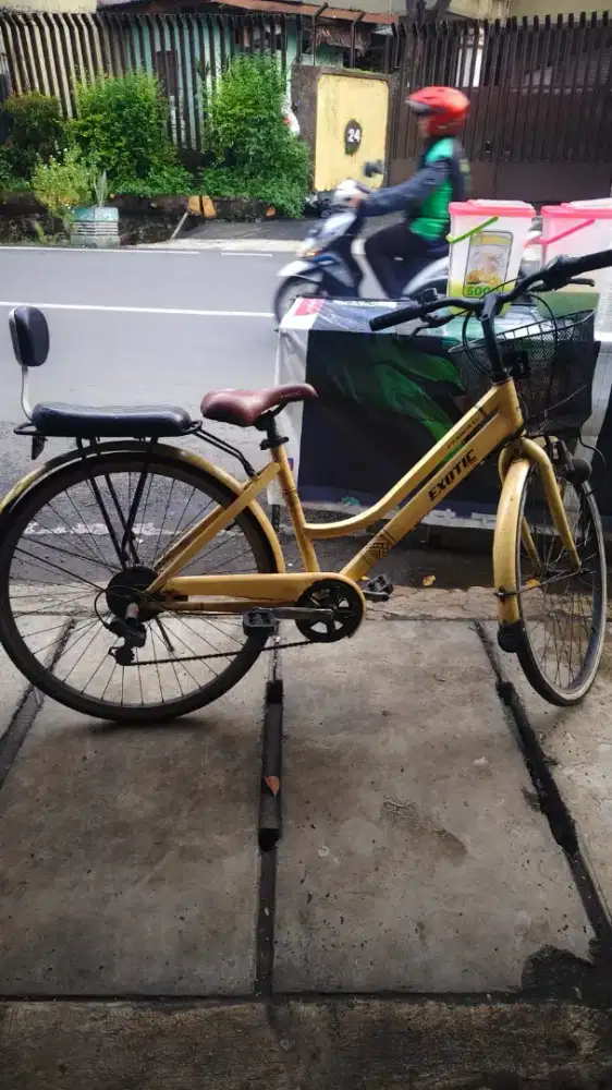 sepeda keranjang exotix