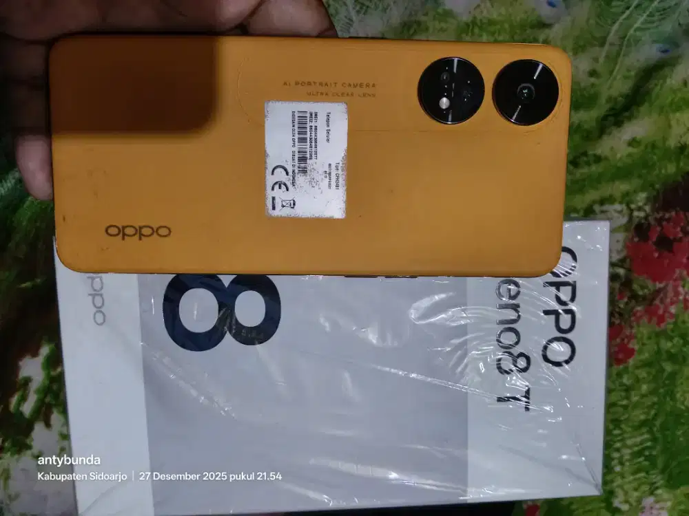 Oppo reno 8t 4g
