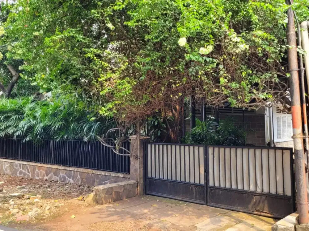 Dijual Rumah Homey 1 Lantai Luas 984 di Kebayoran Baru Jakarta Selatan (Im)