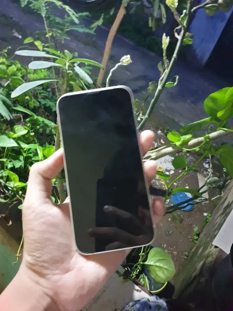 IPhone 13 256GB ex inter all op