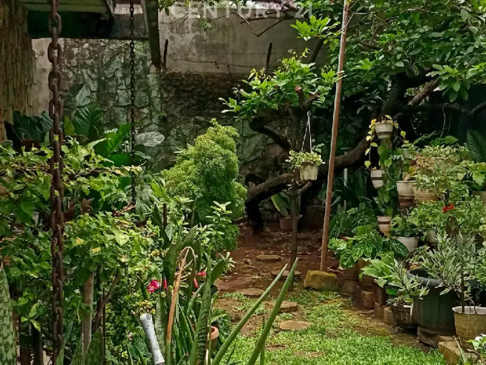 Rumah Lama Hitung Tanah Di Kayumas Pulogadung Jaktim S9539