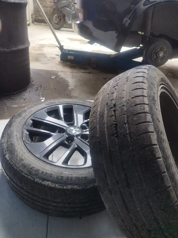 Ban Accelerra phi 205 55 16