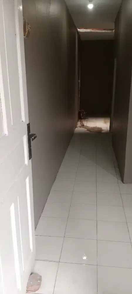 Butuh Asisten Serabutan