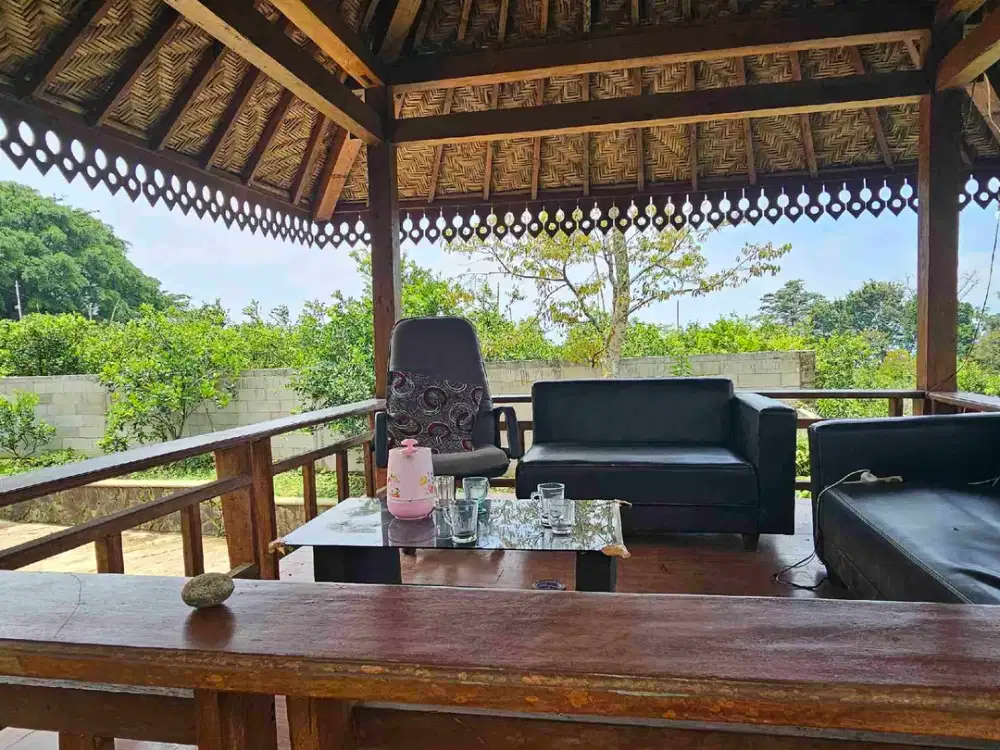 villa cakep murah luas 2.449 harga tanah bonus rumah dan kebun 300 pohon lebih view istimewa dan posisi di pinggir jalan di dieng atas dau tembus arah batu dekat tsurraya islamic school