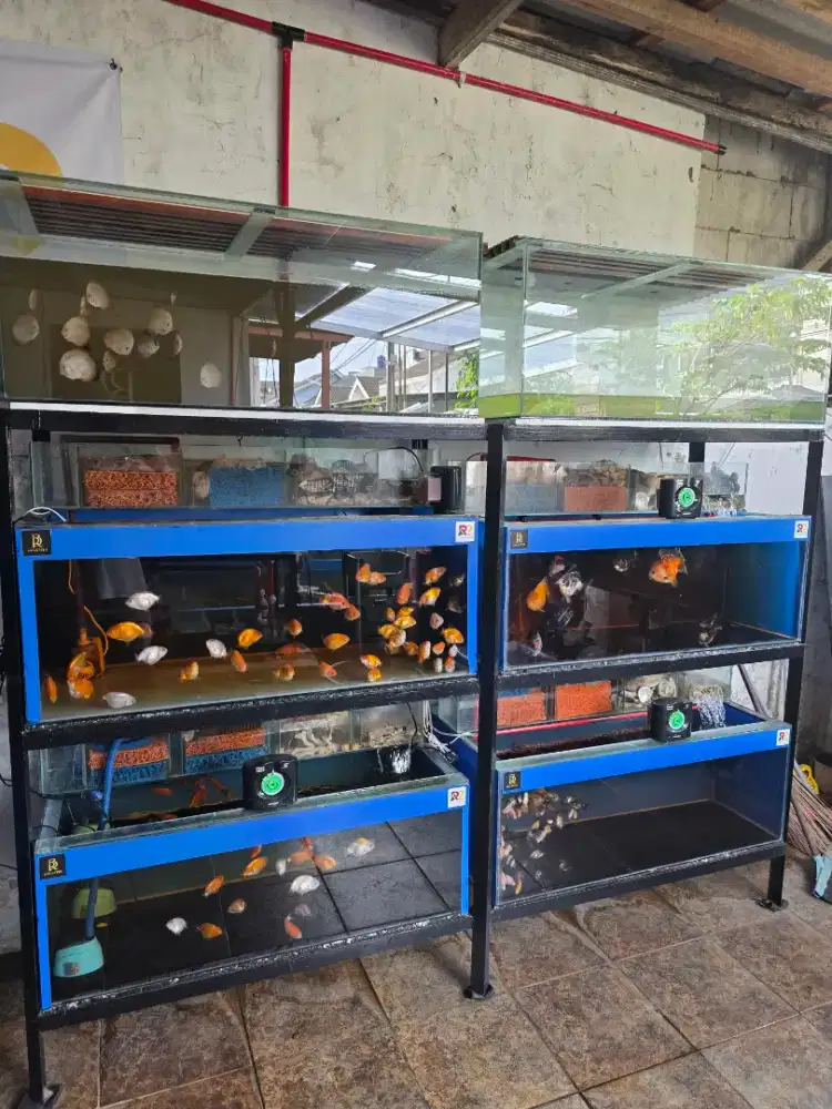 Akuarium Aquarium Rak