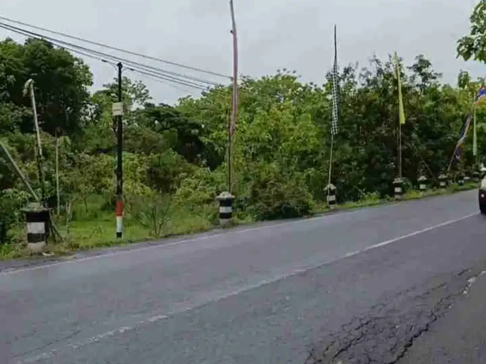 turun harga tanah jl provinsi di Karangmojo Gununglidul