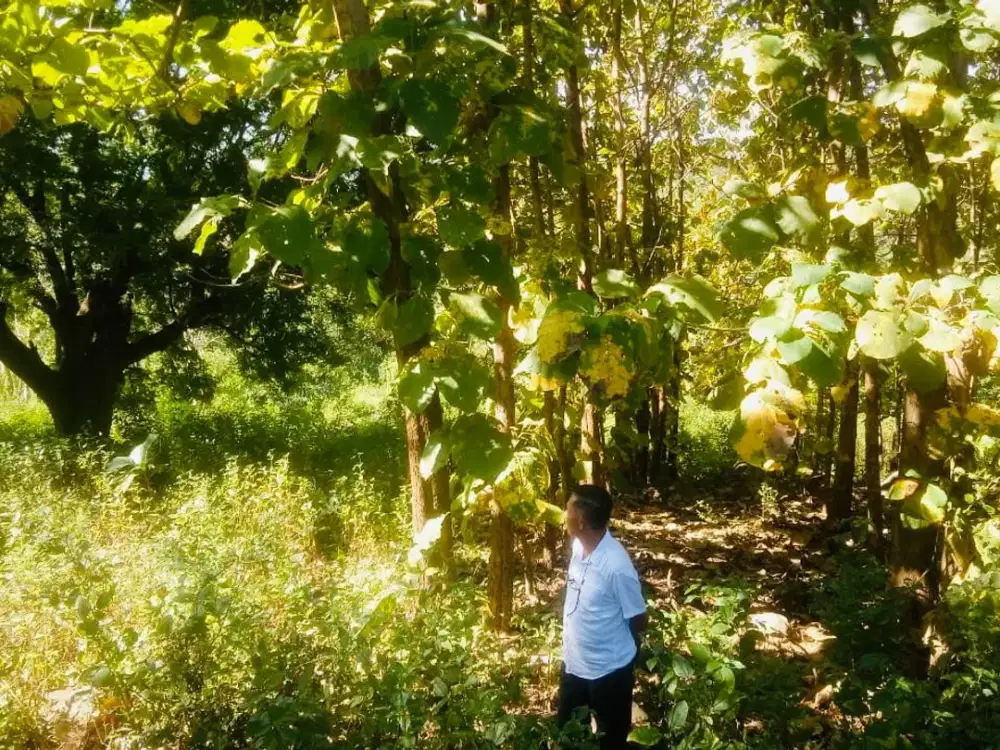 Dijual Cepat Tanah Premium View Kota Di Karato Sumbawa Besar