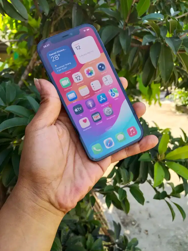 Iphone 12 128 GB Resmi Ibox