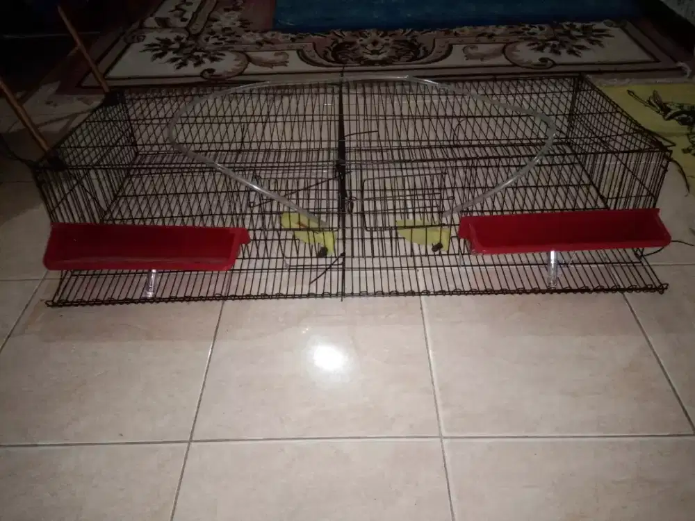 1 set kandang barung puyuh petelur siap pakai