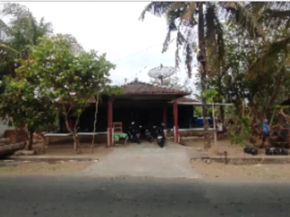 JUAL CEPAT TANAH PEKARANGAN LUAS BONUS BANGUNAN DEKAT JALAN RAYA IMOGIRI BANTUL