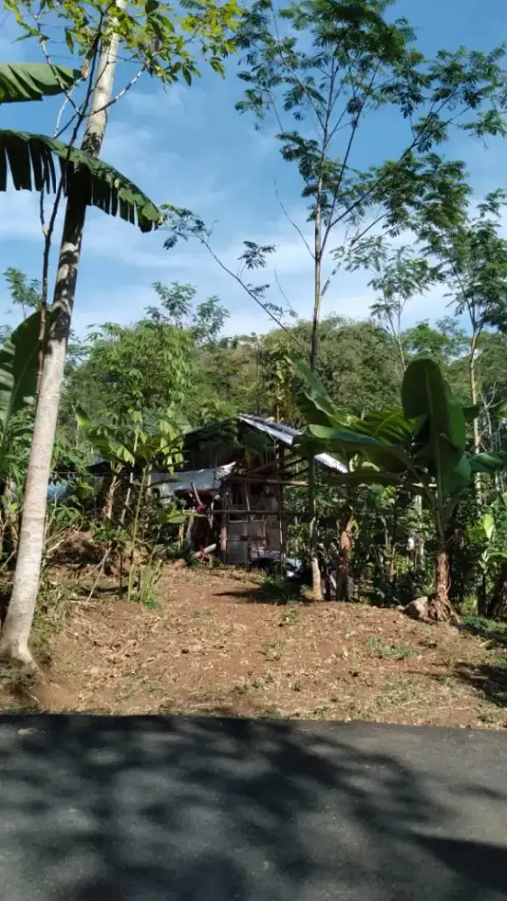 Dijual Tanah Kebun Pribadi